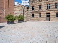 a brick sidewalk next to some tall buildings and trees and grass in pots in front of them