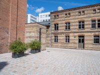 a brick sidewalk next to some tall buildings and trees and grass in pots in front of them