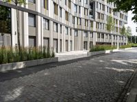 a very nice sidewalk leading to a tall building with many windows and some bushes around