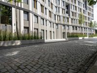 a very nice sidewalk leading to a tall building with many windows and some bushes around