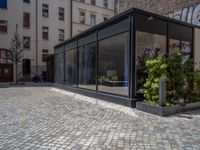 several plants sit in decorative concrete planters along the sidewalk of a building that is very modern