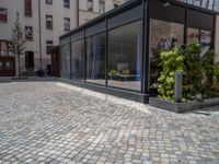 several plants sit in decorative concrete planters along the sidewalk of a building that is very modern