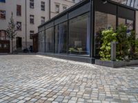 several plants sit in decorative concrete planters along the sidewalk of a building that is very modern