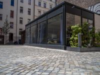 several plants sit in decorative concrete planters along the sidewalk of a building that is very modern