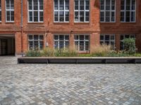 several plants sit in decorative concrete planters along the sidewalk of a building that is very modern