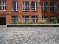 several plants sit in decorative concrete planters along the sidewalk of a building that is very modern