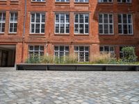 several plants sit in decorative concrete planters along the sidewalk of a building that is very modern