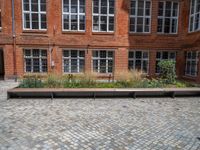 several plants sit in decorative concrete planters along the sidewalk of a building that is very modern