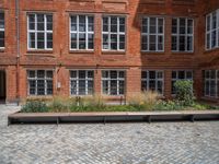 several plants sit in decorative concrete planters along the sidewalk of a building that is very modern