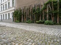 Berlin: City Architecture and Residential Areas