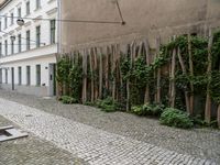 Berlin: City Architecture and Residential Areas