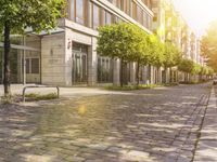 empty cobblestone brick walkway with parked vehicles on the side of it and sun shining