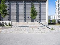 two trees growing in front of an empty building with stone and brick paving on the ground