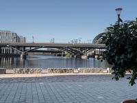 two chairs sitting next to a table with plants on a sidewalk near water and buildings