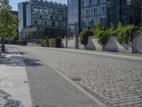 the stone path has been built along the side of the street and is lined with buildings