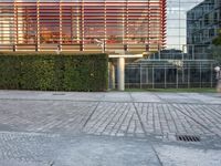 Berlin's Urban Beauty: City at Dawn with Reflective Roads