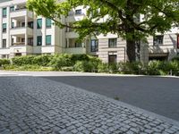 Berlin City: Daytime on an Asphalt Road Surrounded by Buildings