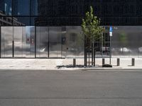 Berlin City Life: A View of Asphalt and Curbs