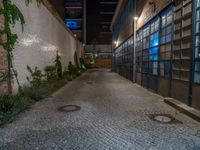 some dark blue windows in an industrial building with no one on the street to the right