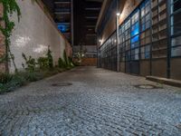 some dark blue windows in an industrial building with no one on the street to the right