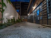 some dark blue windows in an industrial building with no one on the street to the right