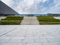 a view of the back steps of a building with shrubs on both sides and two fountains in the background