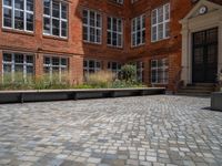 several plants sit in decorative concrete planters along the sidewalk of a building that is very modern