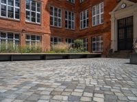 several plants sit in decorative concrete planters along the sidewalk of a building that is very modern