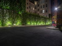 lights illuminate a row of bushes and a path in between the two buildings