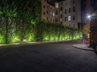 lights illuminate a row of bushes and a path in between the two buildings