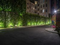 lights illuminate a row of bushes and a path in between the two buildings