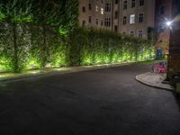 lights illuminate a row of bushes and a path in between the two buildings