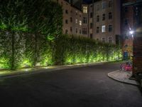 lights illuminate a row of bushes and a path in between the two buildings