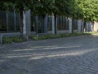 a motorcycle on a city street with some trees in the foreground and benches under two trees in front