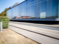 a train passing by some bushes and trees on tracks during the day, while a person holds a phone to her ear