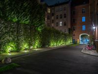 lights illuminate a row of bushes and a path in between the two buildings