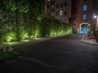 lights illuminate a row of bushes and a path in between the two buildings