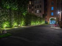 lights illuminate a row of bushes and a path in between the two buildings