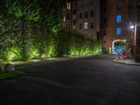 lights illuminate a row of bushes and a path in between the two buildings