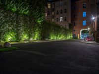 lights illuminate a row of bushes and a path in between the two buildings