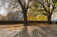 Berlin City Parking Road