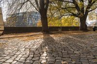 Berlin City Parking Road