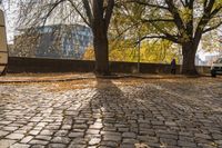 Berlin City Parking Road