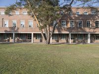 a grassy area with a tree, windows, and a building in the background and a sign that says westgate