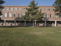 a grassy area with a tree, windows, and a building in the background and a sign that says westgate