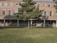 a grassy area with a tree, windows, and a building in the background and a sign that says westgate