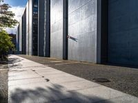 a small tree sits on the sidewalk outside a building in the sun and shadows are cast by it