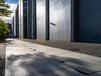 a small tree sits on the sidewalk outside a building in the sun and shadows are cast by it