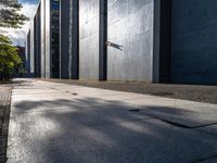 a small tree sits on the sidewalk outside a building in the sun and shadows are cast by it