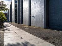 a small tree sits on the sidewalk outside a building in the sun and shadows are cast by it